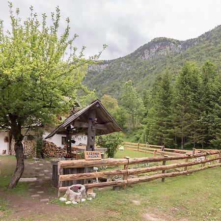 Lizina Hiska House Bohinj Villa Bohinjska Bistrica Екстериор снимка