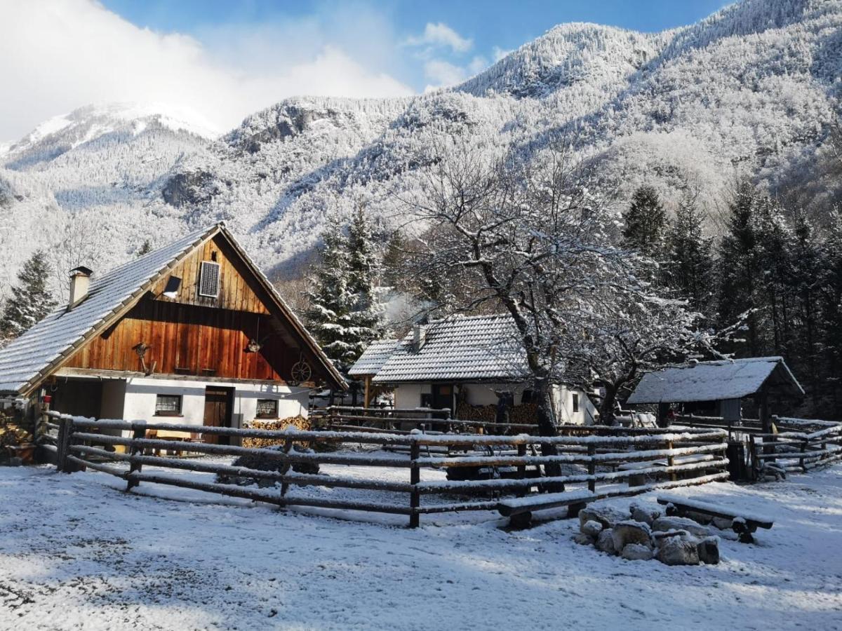 Lizina Hiska House Bohinj Villa Bohinjska Bistrica Екстериор снимка