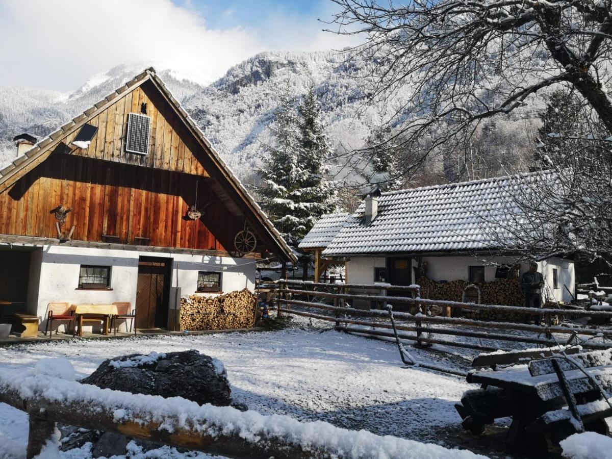 Lizina Hiska House Bohinj Villa Bohinjska Bistrica Екстериор снимка