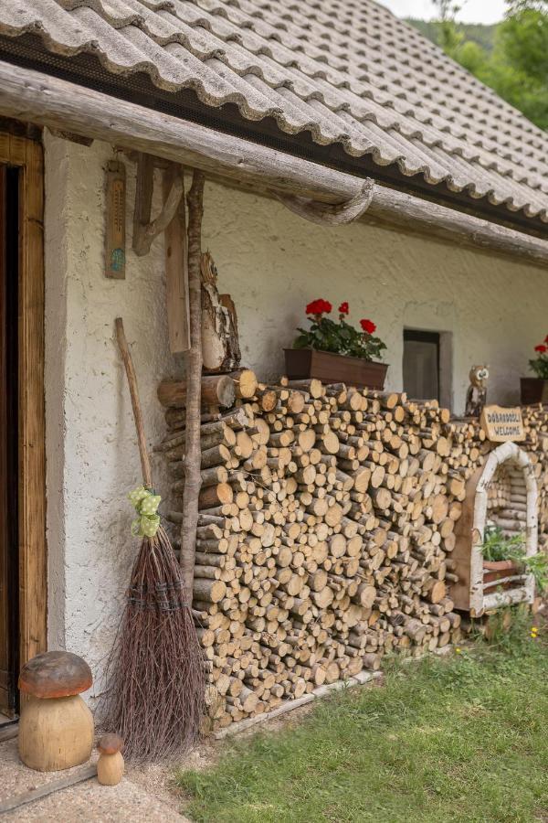 Lizina Hiska House Bohinj Villa Bohinjska Bistrica Екстериор снимка