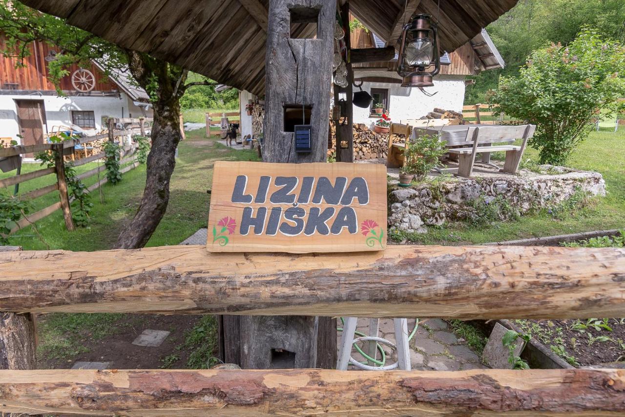 Lizina Hiska House Bohinj Villa Bohinjska Bistrica Екстериор снимка