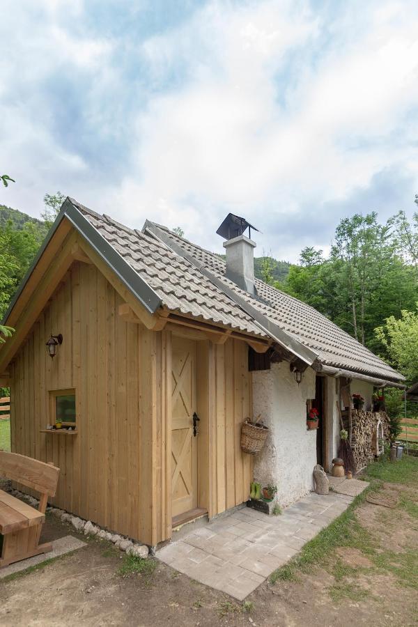 Lizina Hiska House Bohinj Villa Bohinjska Bistrica Екстериор снимка